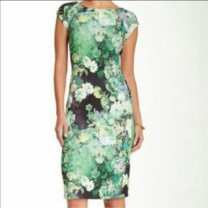 Eci floral scuba dress